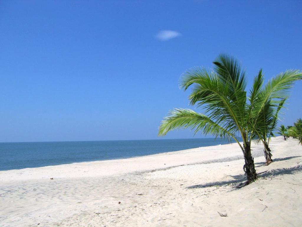 Marari Felix Beach Homestay Марарікулем Екстер'єр фото
